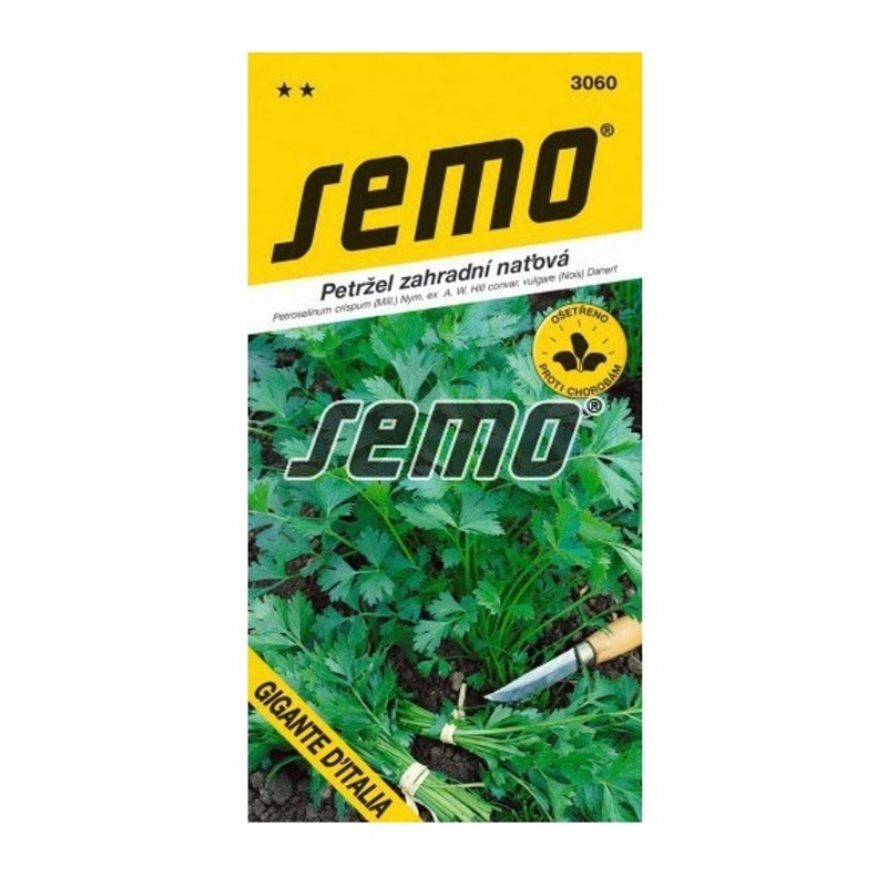 Osivo zeleniny - Petržel naťová Giant of Italy hladká