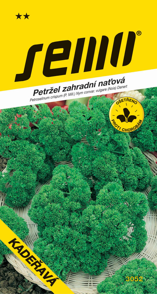 Osivo zeleniny - Petržel naťová Kadeřavá