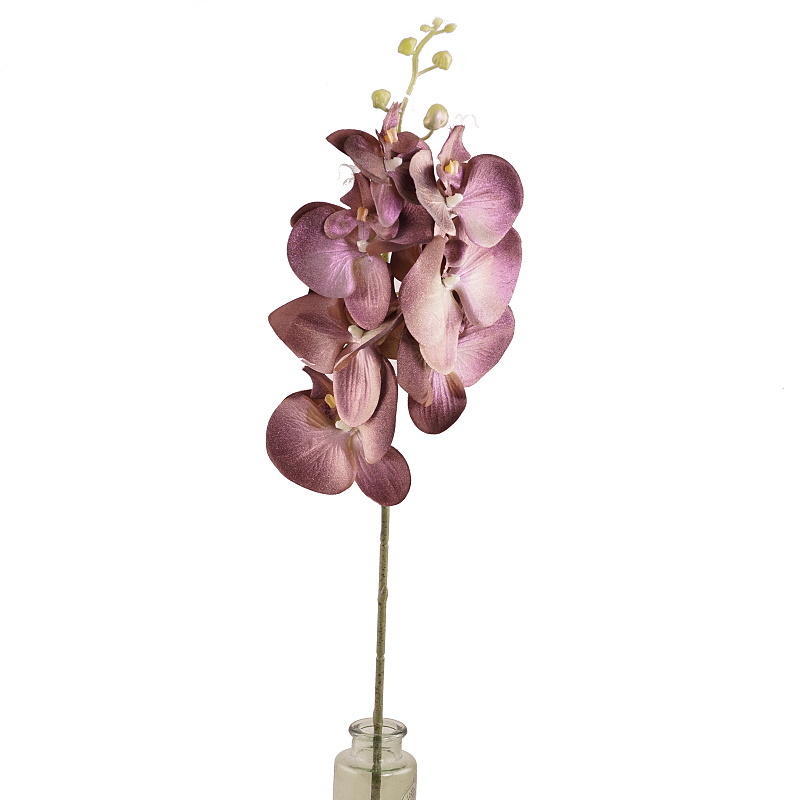 Phalaenopsis BOW řezaný umělý vínový-0