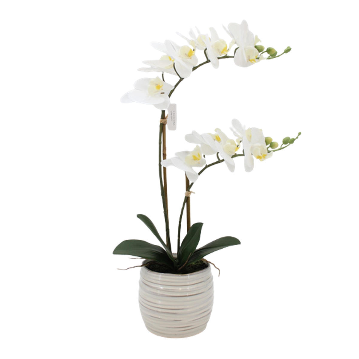 Umělé květiny v obalu - Phalaenopsis hrnkový umělý se 2 výhony 66cm