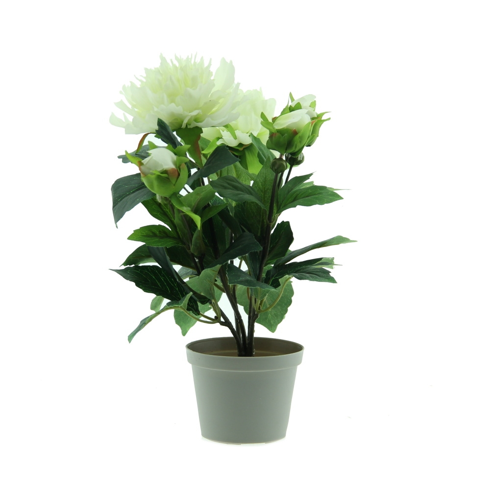 Umělé květiny v obalu - Pivoňka hrnková umělá se 2 květy a poupaty bílá