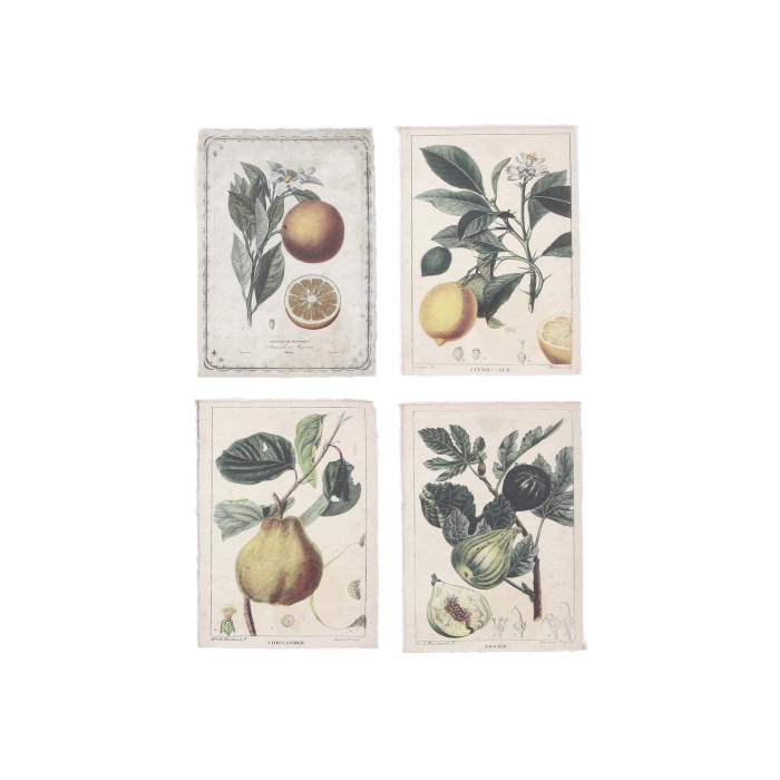 Fotorámečky a obrazy - Plakát dekor ovoce s listy 20cm