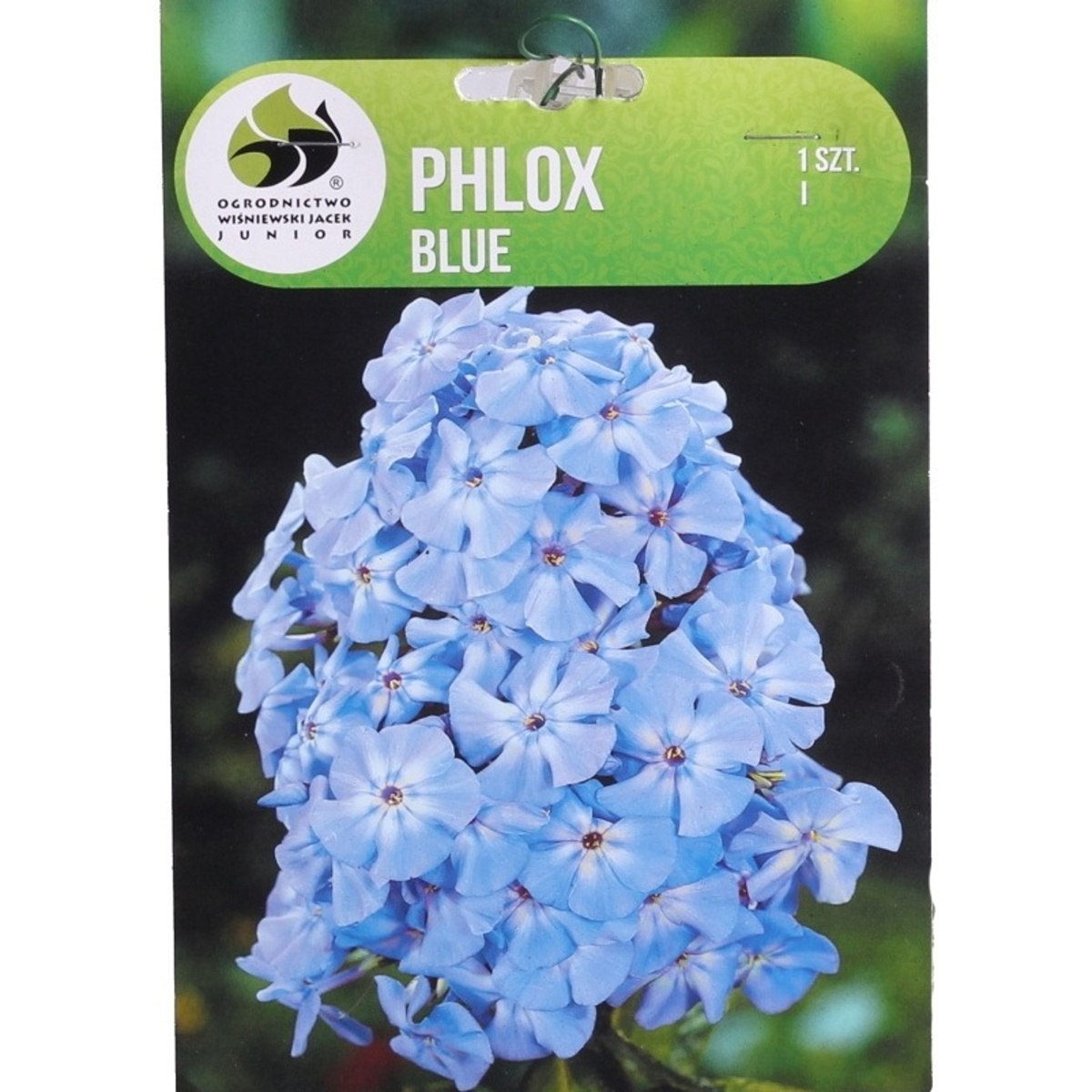 Ostatní jarní cibuloviny - Plamenka Blue 1ks