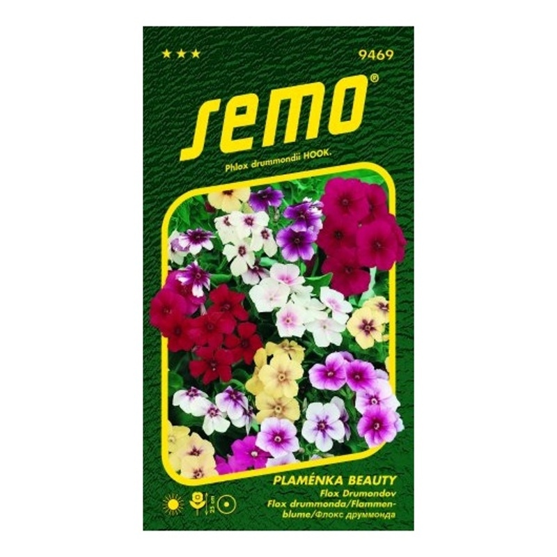 Plaménka Flox směs Beauty-0