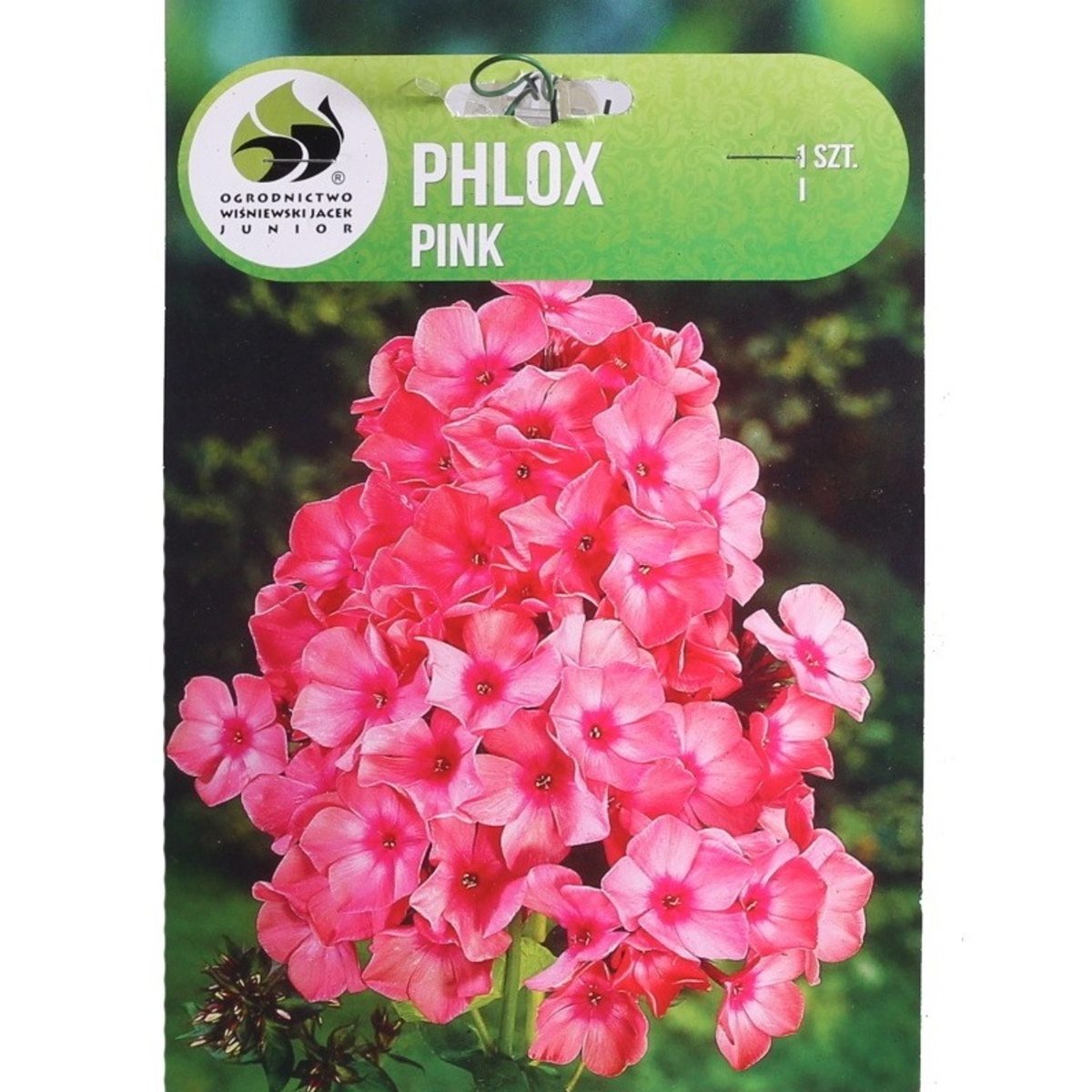 Ostatní jarní cibuloviny - Plamenka Pink 1ks