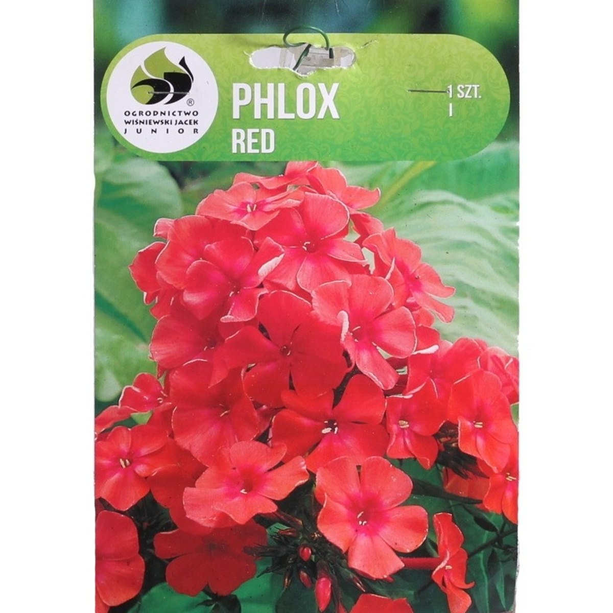 Ostatní jarní cibuloviny - Plamenka Red 1ks