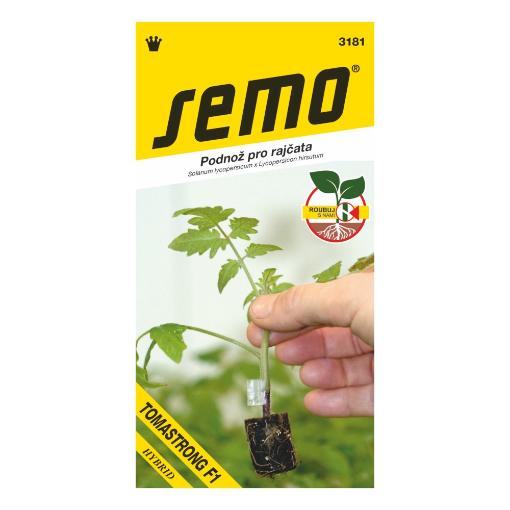 Osivo zeleniny - Podnož k roubování Tomstrong F1