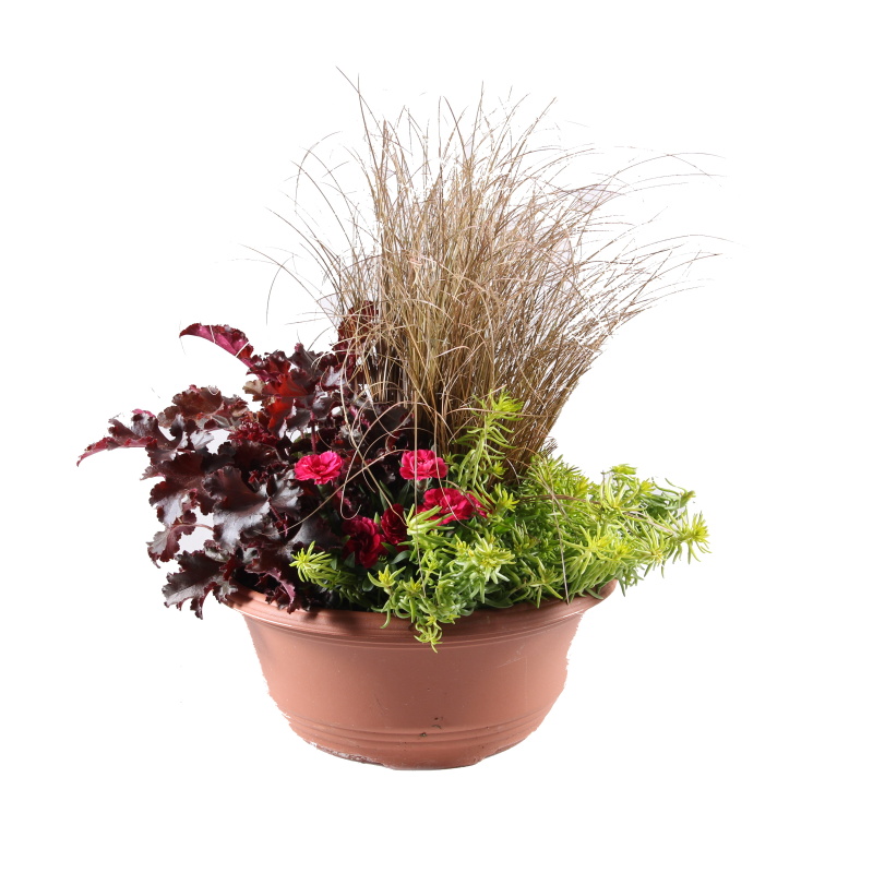 Podzimní rostliny - Podzimní sesazovaná miska 27cm