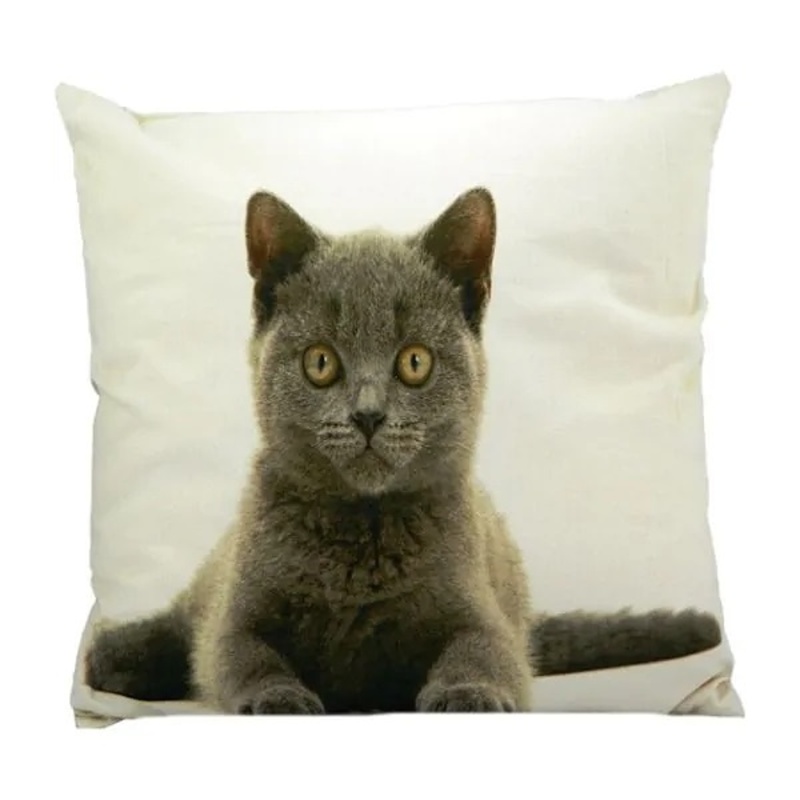 Polštáře a deky - Polštář BRITSKÁ KRÁTKOSRSTÁ KOČKA bavlněný bílý 50cm