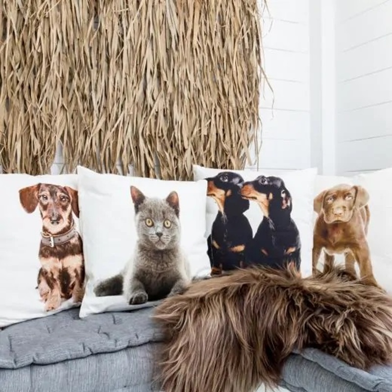 Polštář BRITSKÁ KRÁTKOSRSTÁ KOČKA bavlněný bílý 50cm-0