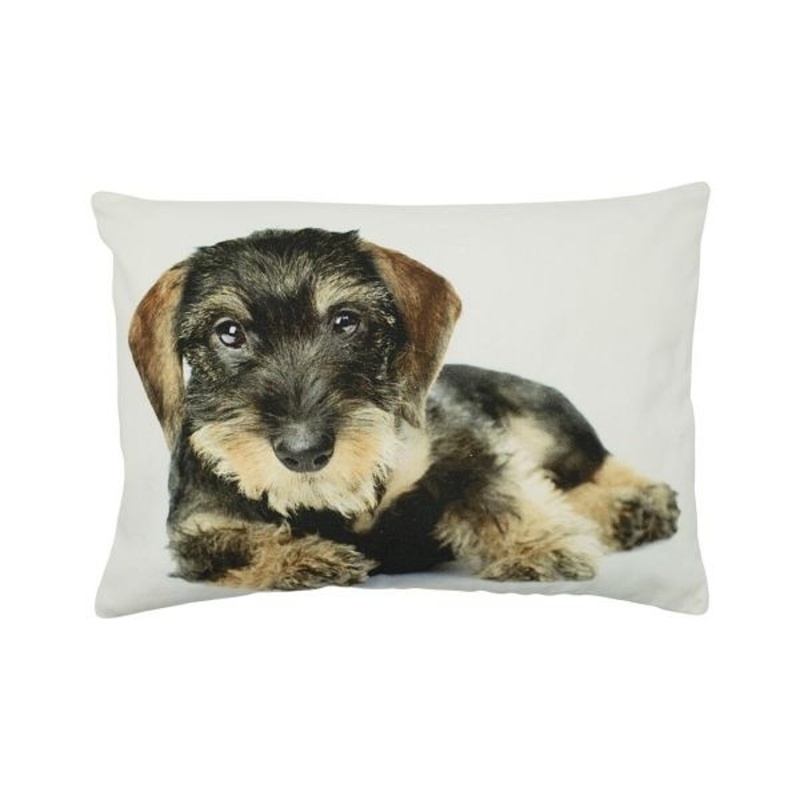 Polštáře a deky - Polštář JEZEVČÍK bavlněný bílý 35x50cm