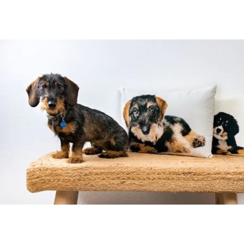 Polštář JEZEVČÍK bavlněný bílý 35x50cm-0