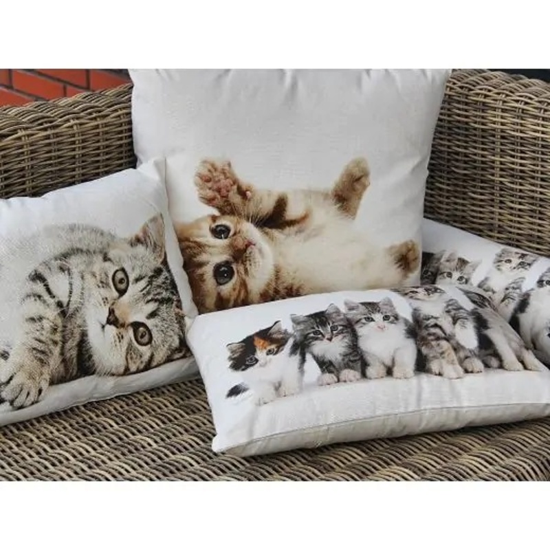 Polštář KOTĚ bavlněný bílý 35x50cm-0