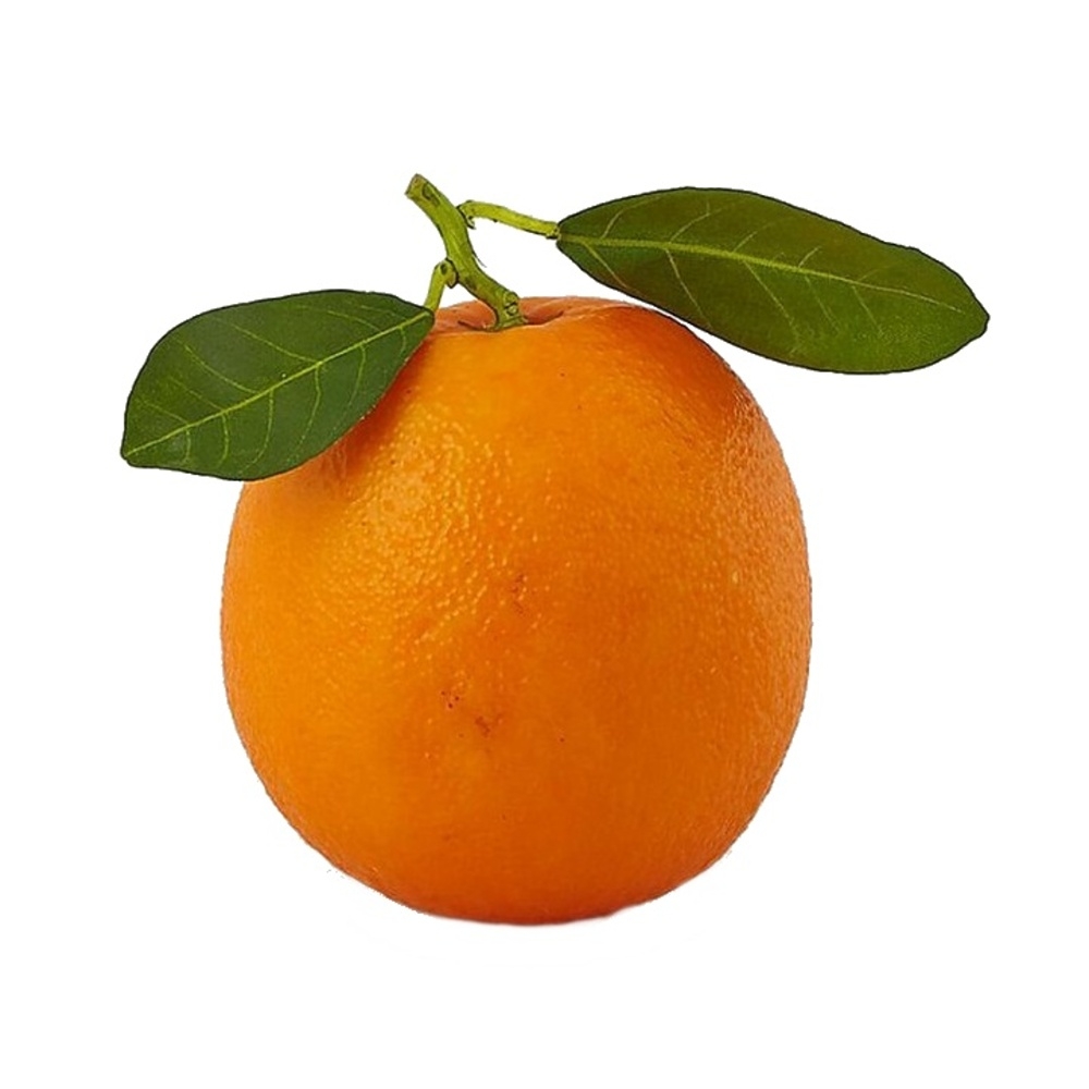 Umělé ovoce a zelenina - Pomeranč s listy umělý oranžový 8cm
