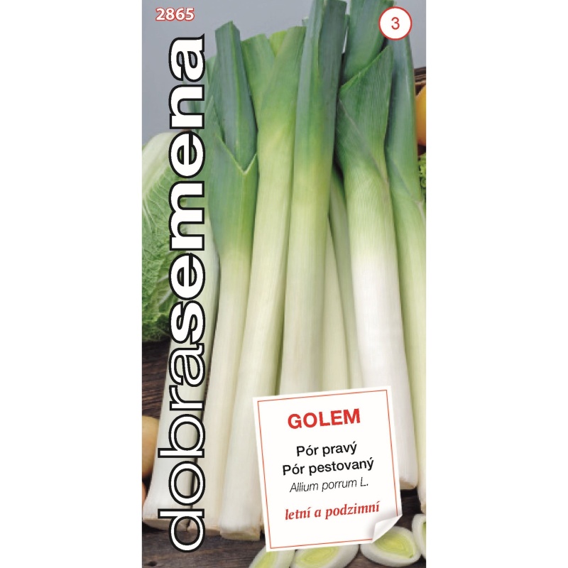 Osivo zeleniny - Pór letní GOLEM (DS)