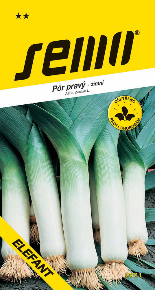 Osivo zeleniny - Pór zimní Elefant