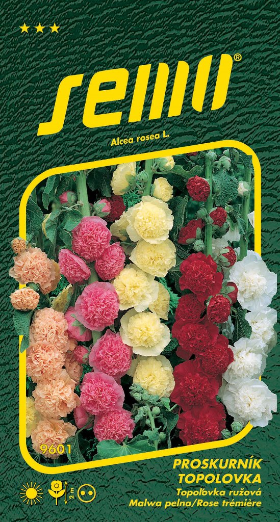 Osivo dvouletek - Proskurník topolovka plnokvětý