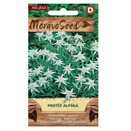 Osivo trvalek - Protěž alpská (MS)