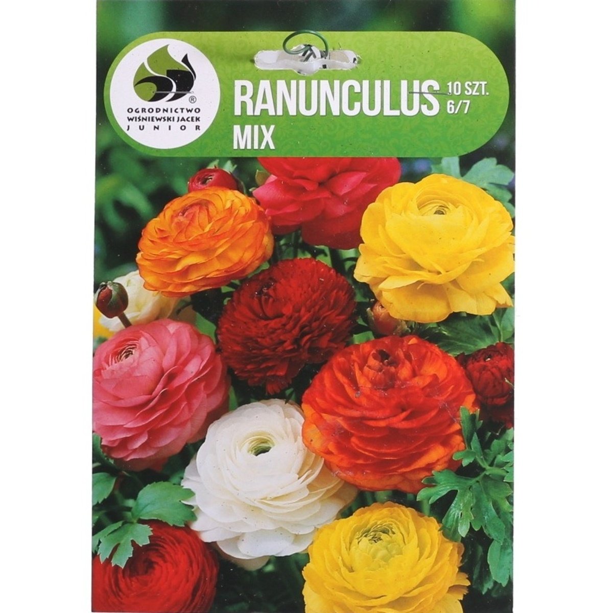 Ostatní jarní cibuloviny - Pryskyřník mix 10ks