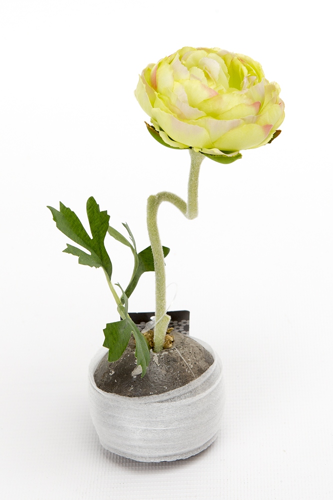 Pryskyřník PEBBLES umělý v kulaté váze 19cm zelený-0