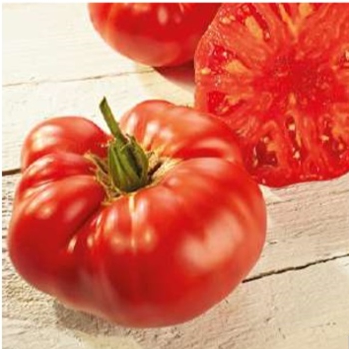 Roubovaná sadba - Rajče Buffalosteak roubované 12cm