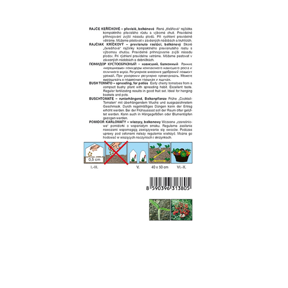 Rajče keříčkové Bejbínek F1 DO NÁDOB-0