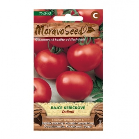 Osivo zeleniny - Rajče keříčkové DALIMIL (MS)