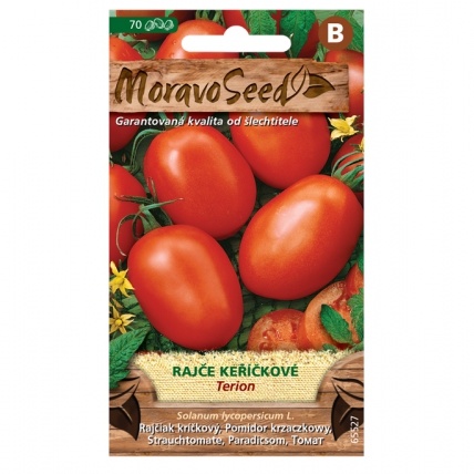 Osivo zeleniny - Rajče keříčkové TERION ovál (MS)