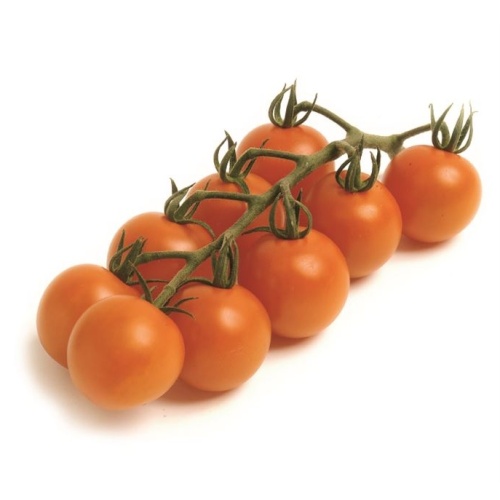 Roubovaná sadba - Rajče 'Manolo Orange' roubované 12cm