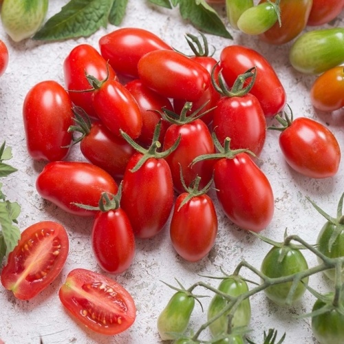 Roubovaná sadba - Rajče Mirado Red roubované 12cm