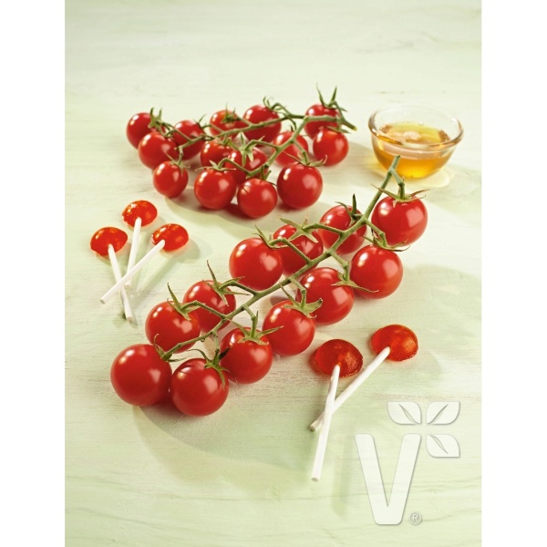 Rostliny - Rajče Solena Red roubované 12cm