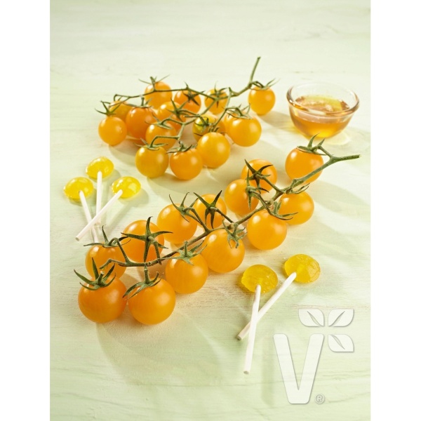 Rostliny - Rajče Solena Yellow roubované 12cm