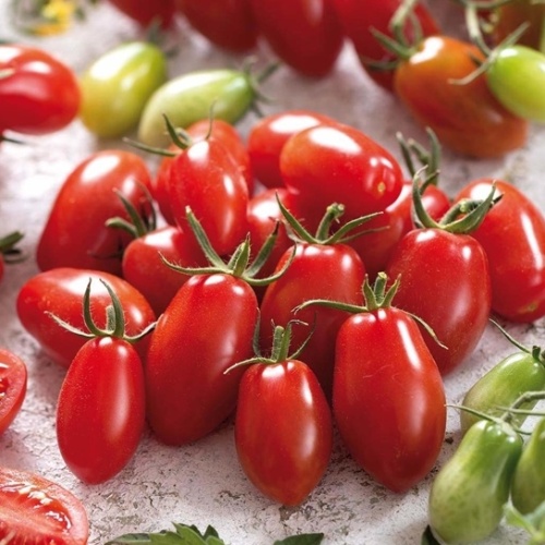 Rajče Tuma Red roubované 12cm-0