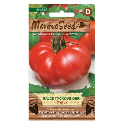 Osivo zeleniny - Rajče tyčkové BRUTUS obří (MS)