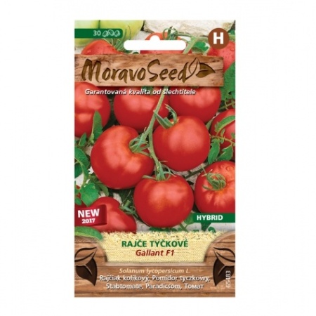 Osivo zeleniny - Rajče tyčkové GALLANT F1 (MS)