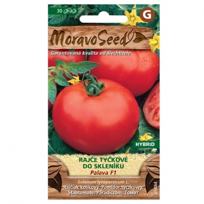 Osivo zeleniny - Rajče tyčkové PALAVA F1 skleníkové (MS)