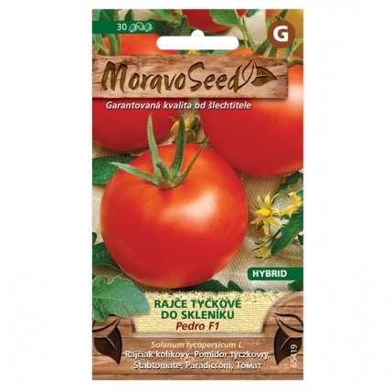 Osivo zeleniny - Rajče tyčkové PEDRO F1 skleníkové (MS)