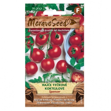 Osivo zeleniny - Rajče tyčkové SPENCER koktejlové (MS)