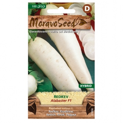 Osivo zeleniny - Ředkev bílá ALABASTER F1 dlouhá (MS)