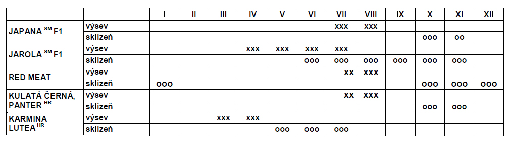 Ředkev Panter kulatá černá-0