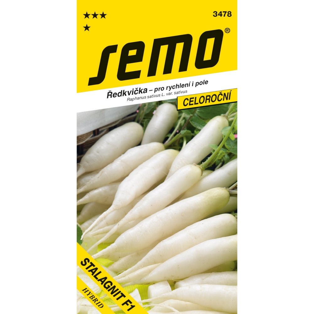 Osivo zeleniny - Ředkvička bílá Stalagnit F1 rychlení i pole