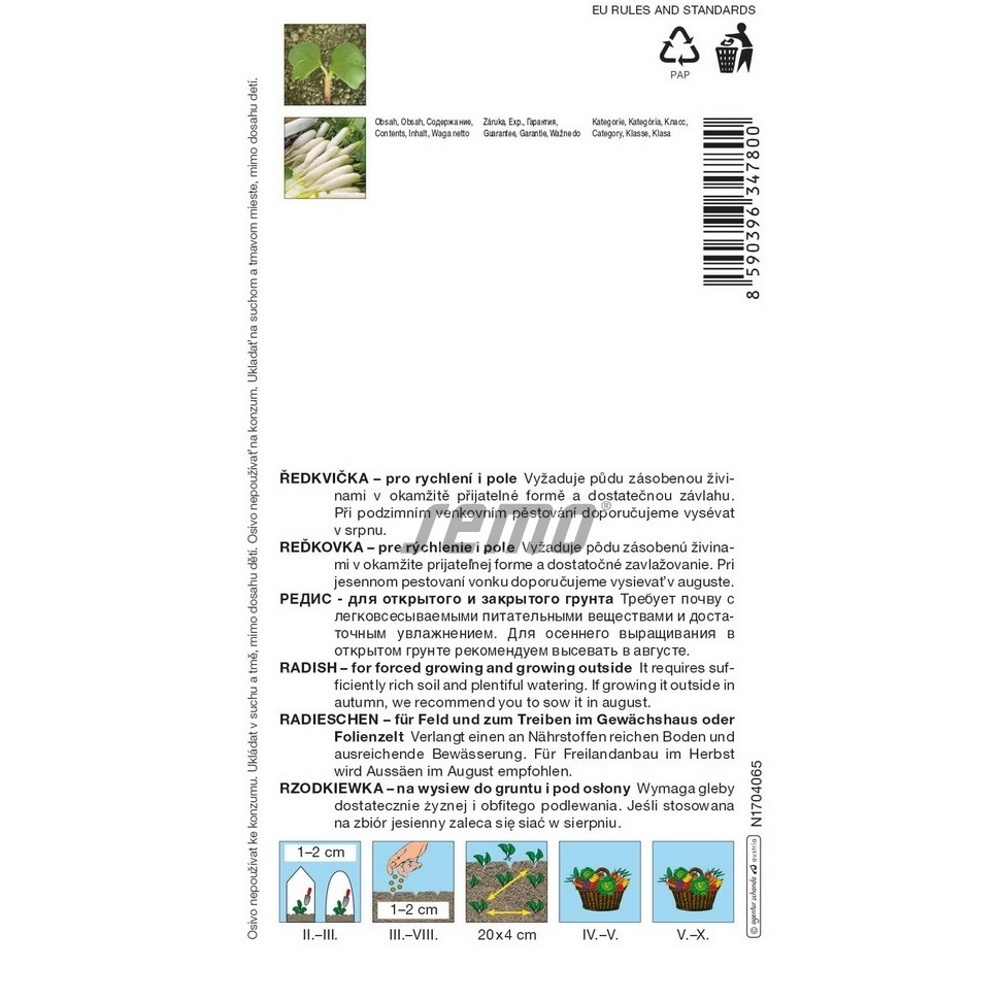 Ředkvička bílá Stalagnit F1 rychlení i pole-0