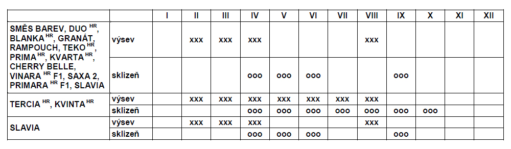 Ředkvička červená Kvarta tetraploidní-0