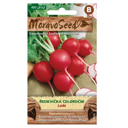 Osivo zeleniny - Ředkvička červená LADA celoroční (MS)