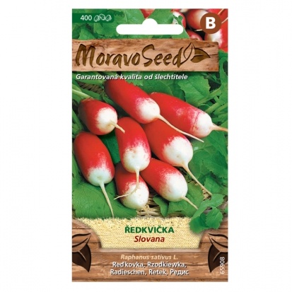 Osivo zeleniny - Ředkvička červenobílá SLOVANA oválná (MS)