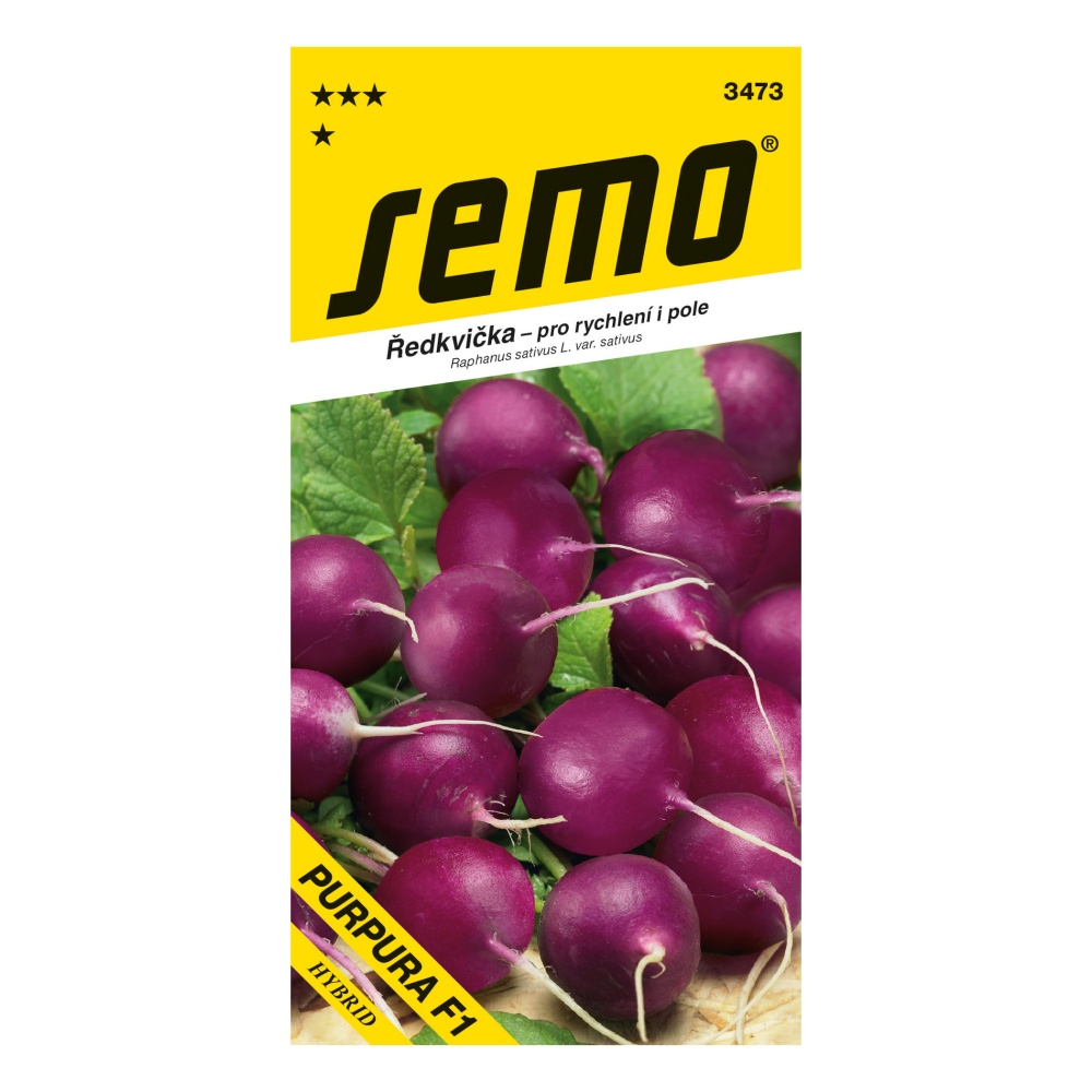 Osivo zeleniny - Ředkvička fialová Purpura F1 rychlení i pole