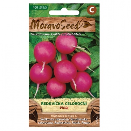 Osivo zeleniny - Ředkvička fialová VIOLA kulatá (MS)