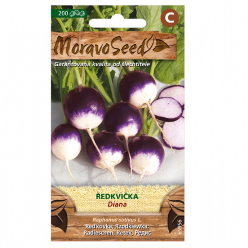 Osivo zeleniny - Ředkvička fialovo-bílá DIANA kulatá (MS)