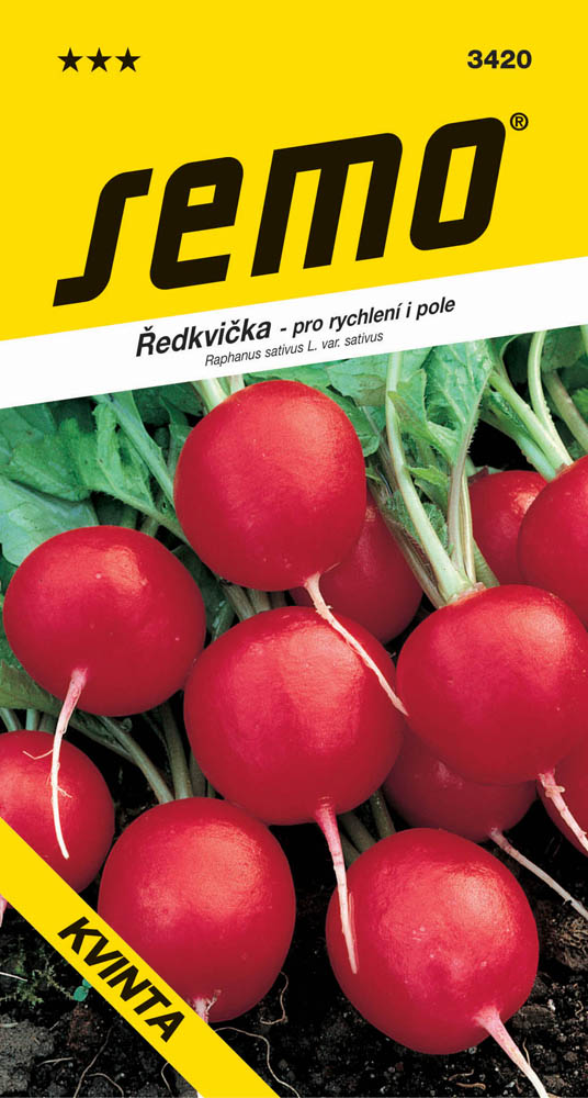 Osivo zeleniny - Ředkvička Kvinta celoroční