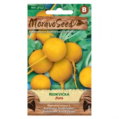 Osivo zeleniny - Ředkvička žlutá ZLATA (MS)